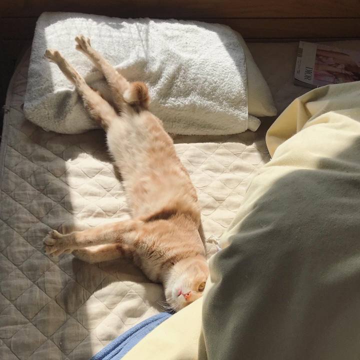 937798f4 7e41 4b63 b247 f0f4e3b8d690 1614042875642