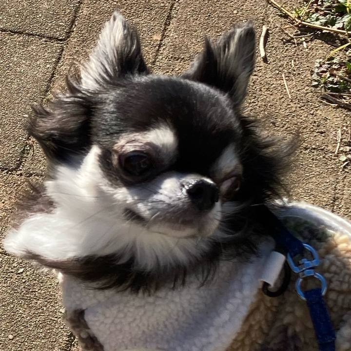 9377c86b d7bc 49c7 9f11 7984ee2971be 1677386675503