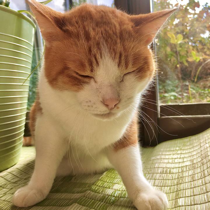 93780140 ab60 4200 bda3 13b3015058b8 1574669390390