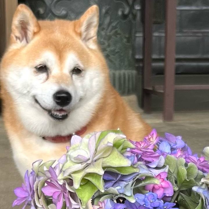 93781675 c3b2 47ee 9391 80856cde321b 1655046963872