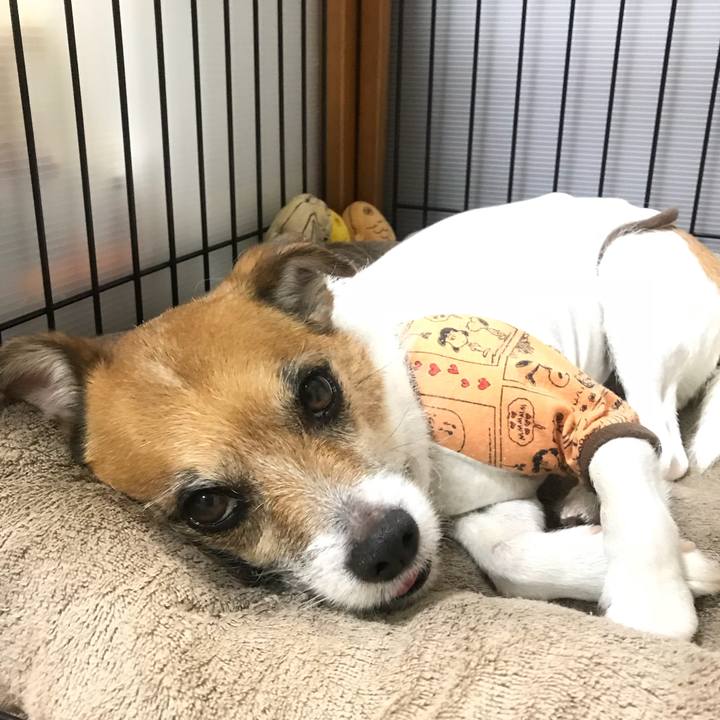 9378213d 8805 4339 9d20 682f12d63db7 1524489874389