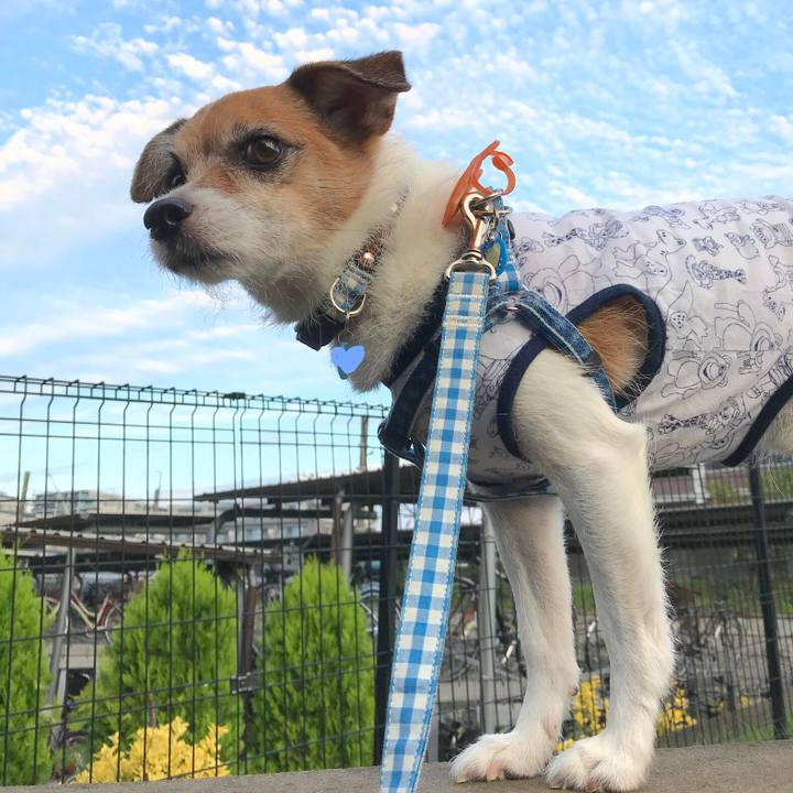 937885d8 8d8c 4e18 a336 80c136b9dbbd 1568848258152