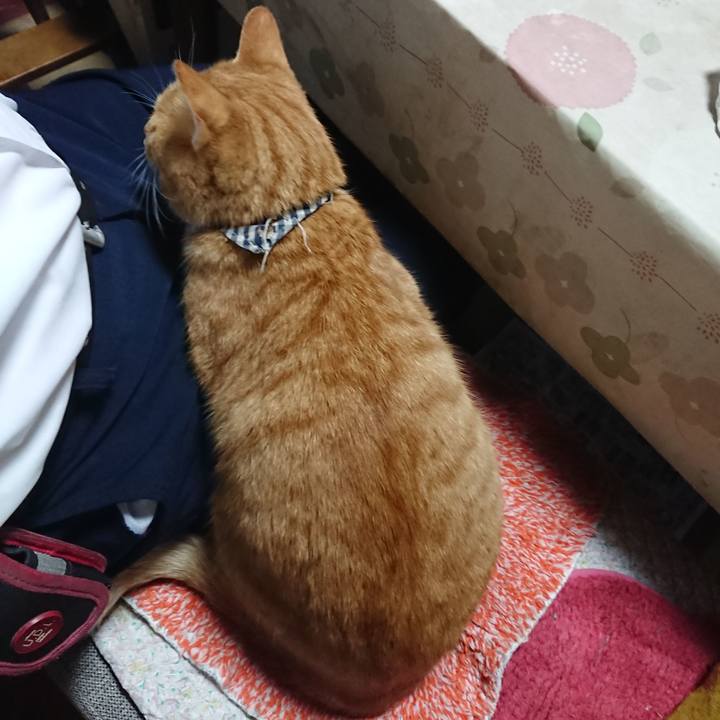 9378b65f bc14 45d7 ae60 7ace7308f65e 1572470909254