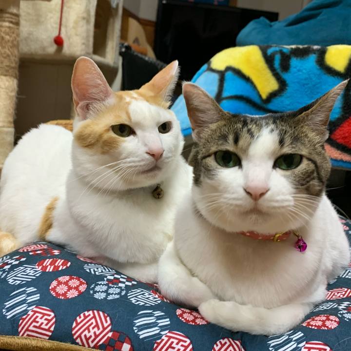 9378e7f8 23be 4fde a32e 8f40b7ab54a4 1578655027745