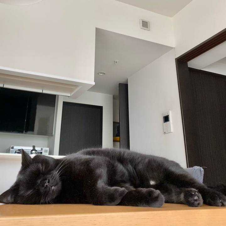 9378ed05 f74c 4af5 a1a7 fbb1dbdf100f 1663459885266