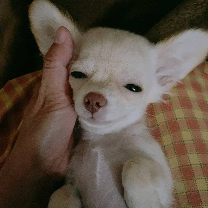 9378f355 500c 4024 928e 1e7ade8bb870 1590794482288