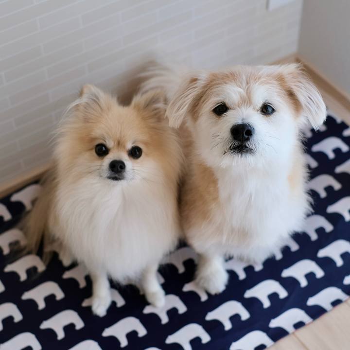 93790dfd b66d 4513 8d93 24a53246dba4 1760477980468