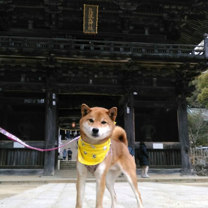 93795e80 7620 4f6d 8739 74d963f104e7 1519546468434