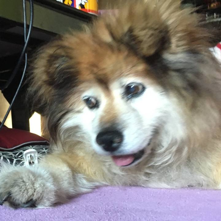 93796388 109d 424a bcd3 67f40c8d1444 1573984187563