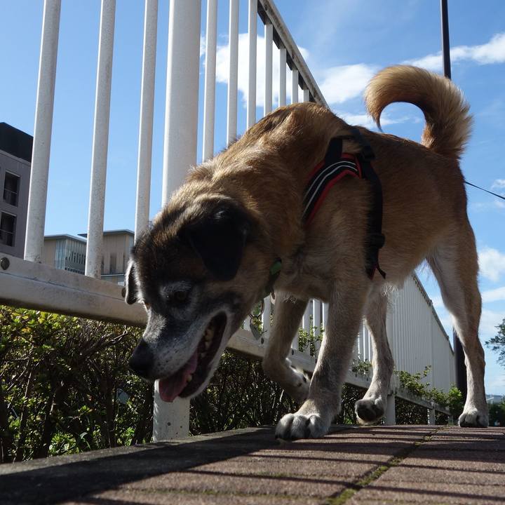 93798159 9c38 41d0 80f1 7eb113e6563d 1536379001435