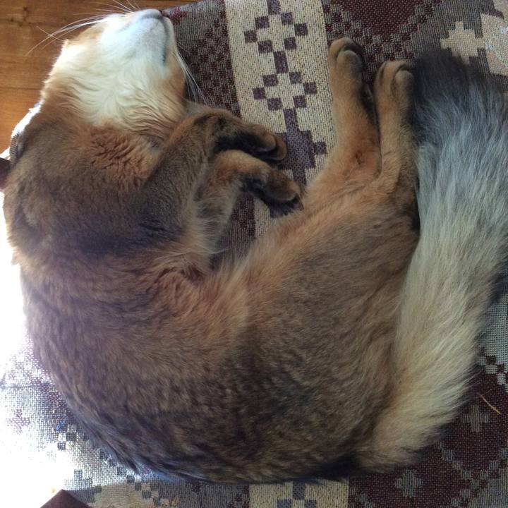 937984c2 f98a 4ee2 9317 75f3e2d035e0 1565499698004