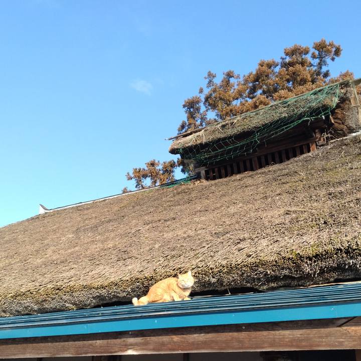 93798c56 eff0 4bee ab70 3d4b7a8fed9f 1674172796895