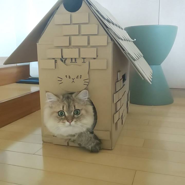 9379bf1e 3d9f 4d62 b220 98cd8c579d14 1569207311276