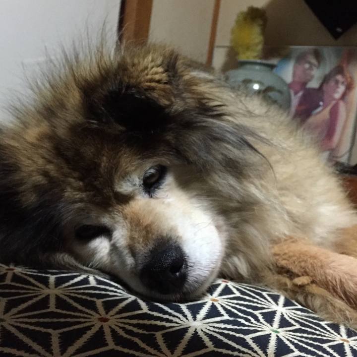 9379c723 c6fd 4f43 8f71 9c62123e0e1b 1603318506093