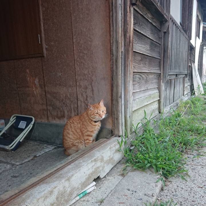 9379df95 8080 458d ad47 0b75422c788e 1656668848226