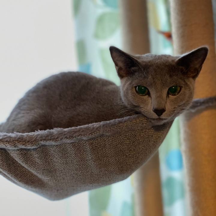 9379f76d a581 40de 8eee ce9f2873e5f3 1610492415704