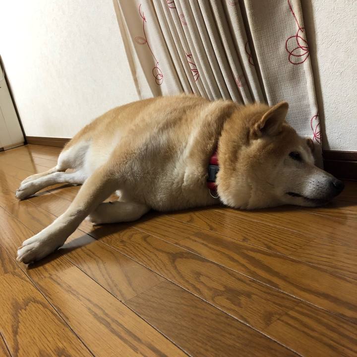 937ac42e ebe1 480d b637 1bc077139903 1570791761290