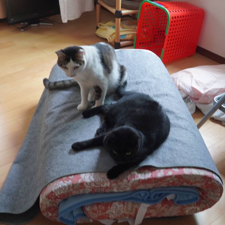 937ad6e5 f9c0 4c9c b14a 114614cf6e9a 1600779030167