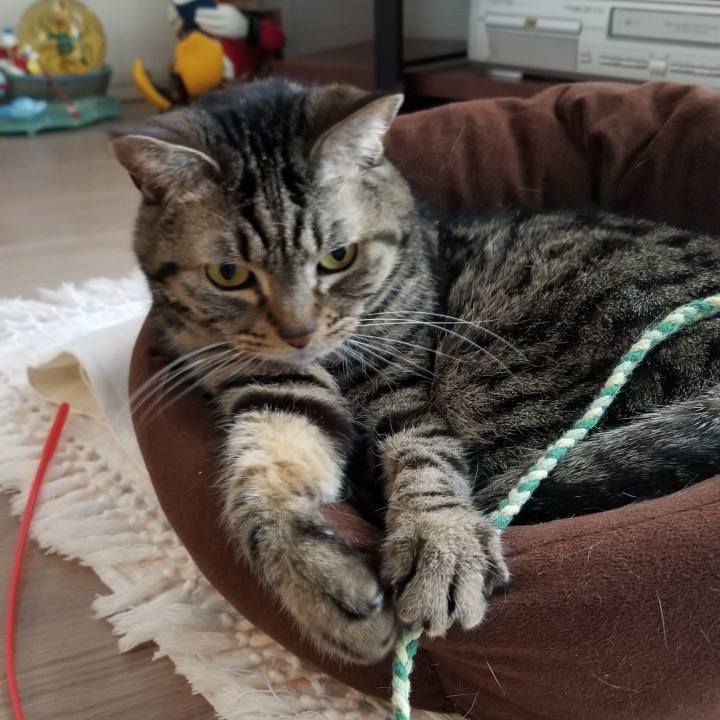 937ae99a 4e8b 4a30 bc84 21e457780d2f 1555300028055