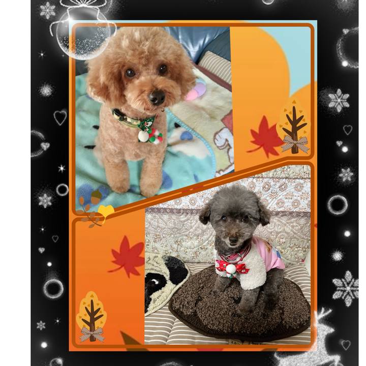 937b2a2a 7e0d 4ed9 bd21 9016ee6e6e37 1732515990885