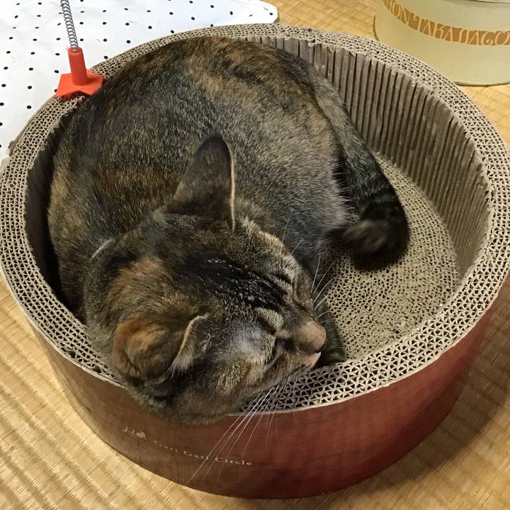 937b2b73 836d 4162 b04f 68659c576bcc 1629264784981