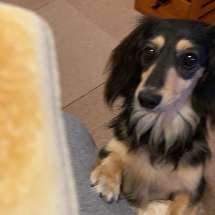 937b904a 81a6 4fc7 8679 d7f9dd7c76b8 1718838242124