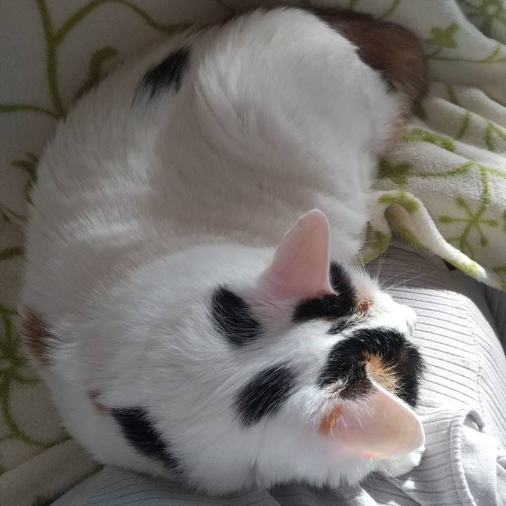 937bbd30 325d 429b b9fc 3d2ce4e11ca4 1698905702653