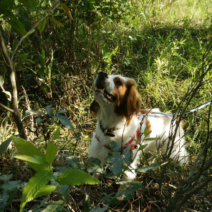 937be281 229b 4388 8a01 ad320b268dcd 1534508745613