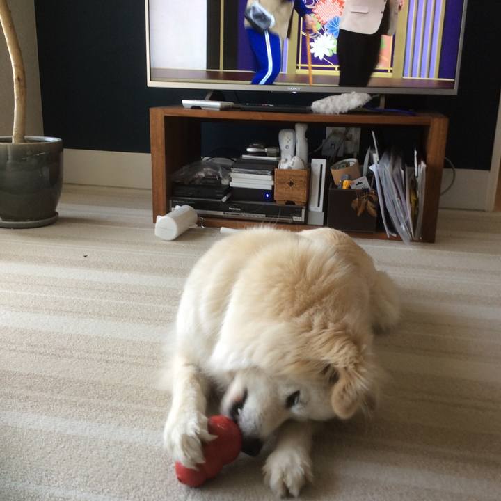 937be895 8e33 46d8 b39e fb55552f5ed7 1524286215574