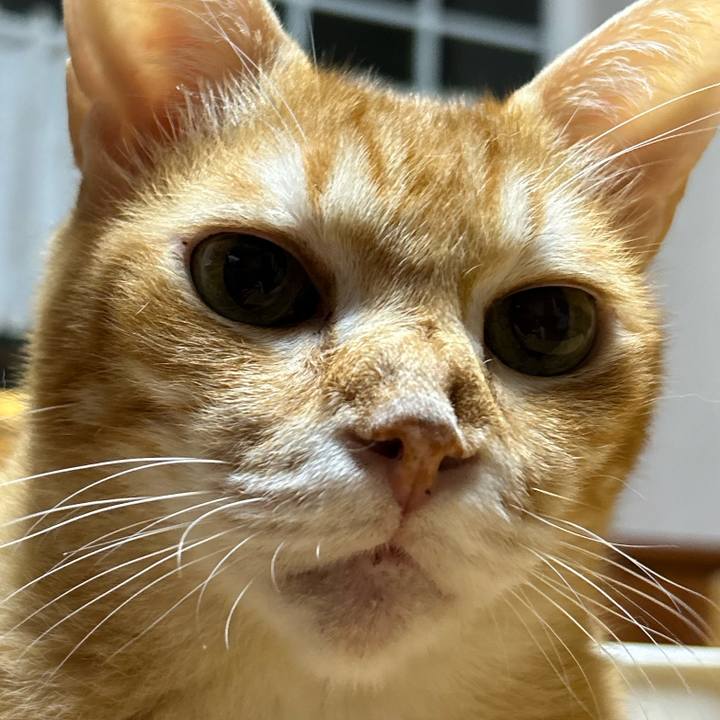 937bfdf3 a644 4ca0 b25b 0e67a6317b8c 1687435808838