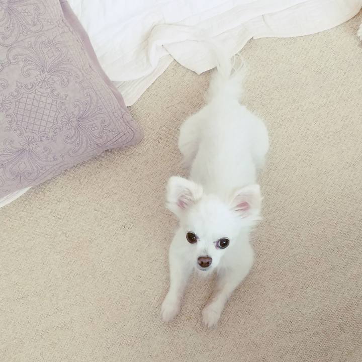 937c04f4 ec1b 4562 8de1 9a7c292633fc 1598964948025