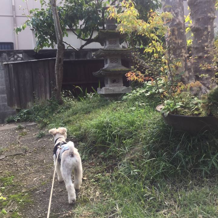 937c06ee 38bc 4274 b05d c4c3e5cd9e9a 1537689346179