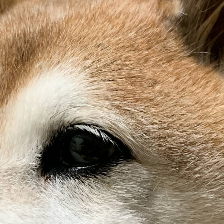 937c0cad fd9f 467b 9c23 12b9aacf7854 1572431354792