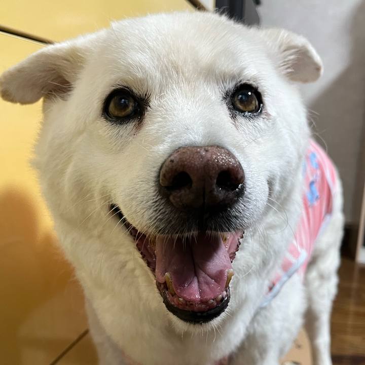 937c1420 0893 4f66 a681 108ee0a06d98 1759101158504