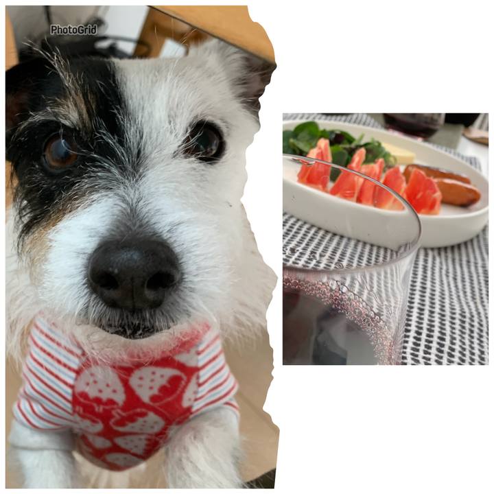 937c1ff6 3e6d 40c2 b38b 300204f742f2 1741407929811