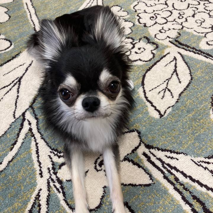 937c22a7 3559 47aa a5f6 c9f2a3883917 1623470422351