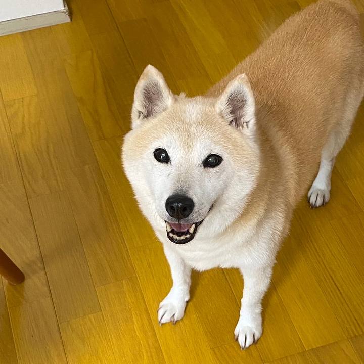 937c2dfc 4231 4db9 adb8 1c5bf38f547f 1698939758725