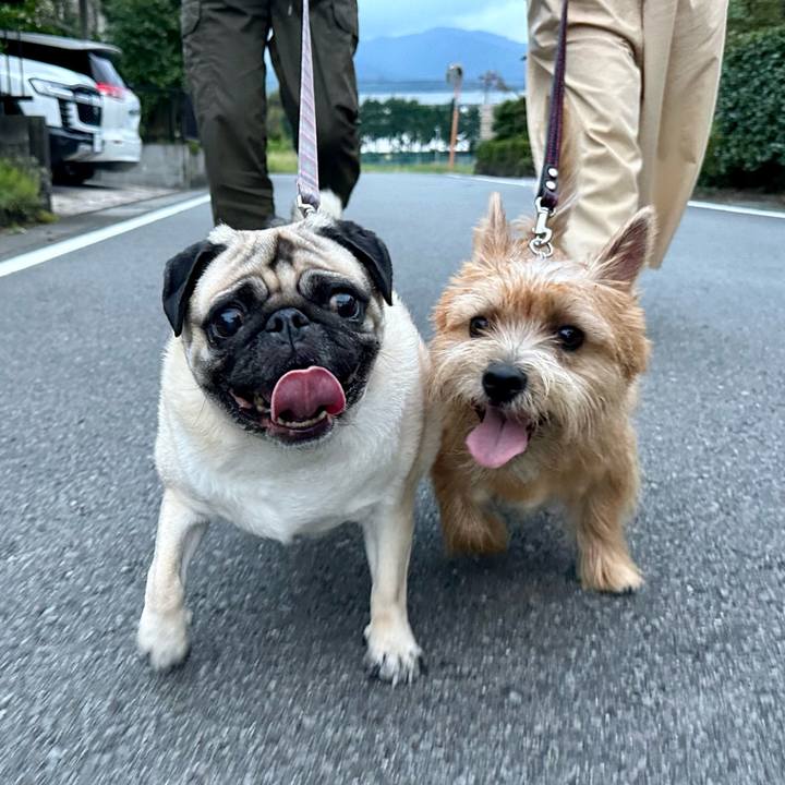 937c65e7 f956 4f09 85a3 b955dca90d05 1727536147472