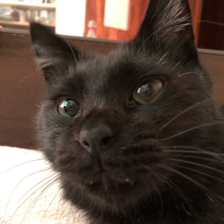 937c72d7 df68 4919 b3cf 44b3c4537377 1567544862903