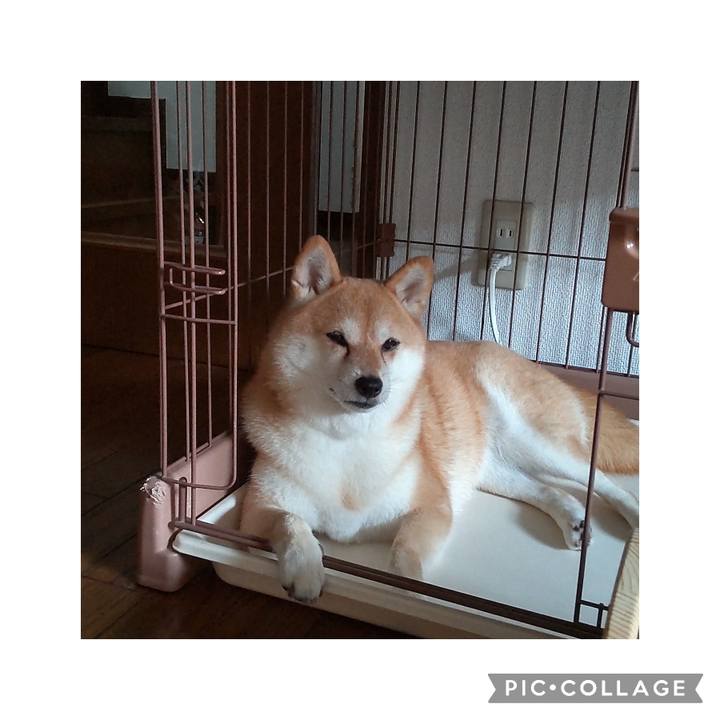 937c9d9f 1e5b 4f6d a4af d783f962d232 1757591334856