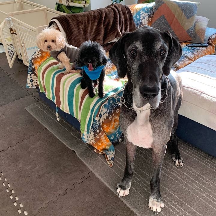 937cac2a 4baa 4603 8c58 98d585296df6 1605222066186