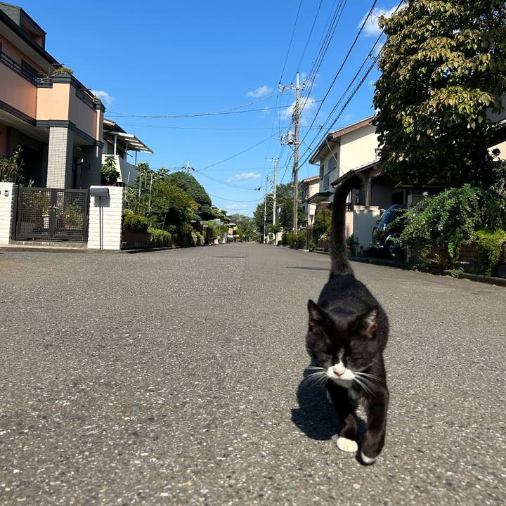 937cbf87 220c 40b0 b2f3 ed5c255ee00a 1726267894921