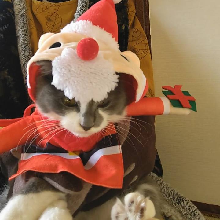 937cd73d fd5f 42d3 b6f9 5116bea70f5f 1575091242884