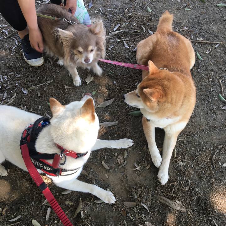 937d2bbc 7a2c 43d5 8d32 c8a5e309c781 1559130524886