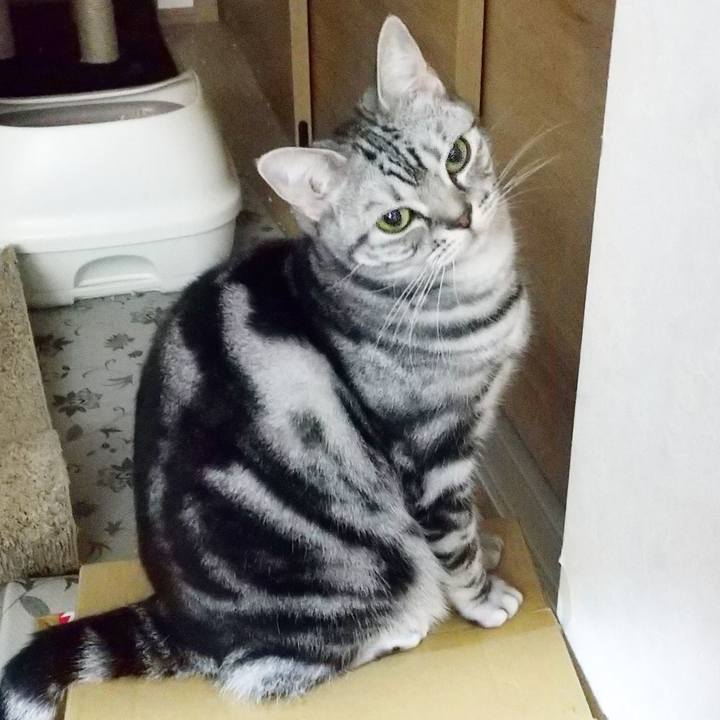 937d369e 8c31 44c6 bfed 184f5a2eb86e 1637467158811