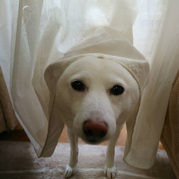 937d642a b692 40db a104 50c163302191 1544662745099