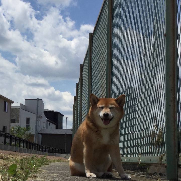 937d71f7 9269 434c 9902 119e92730188 1592625999134