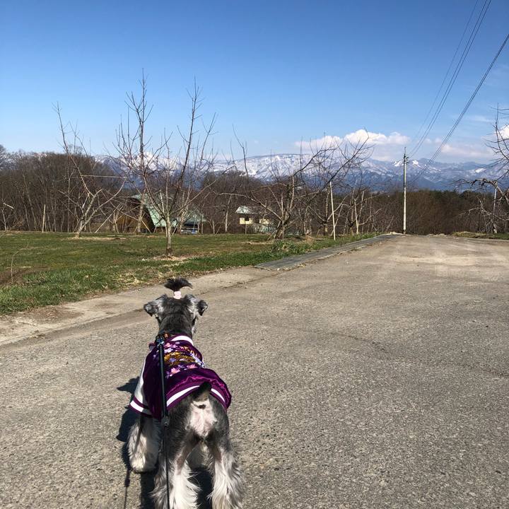 937d7570 3bc5 4578 8d67 8e8d6bb7e4e5 1648906562550