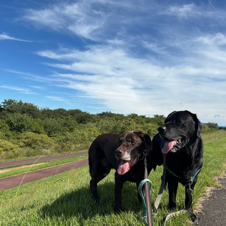 937d81b1 fbc1 4f57 a21d 92c765e2bf18 1760613776755