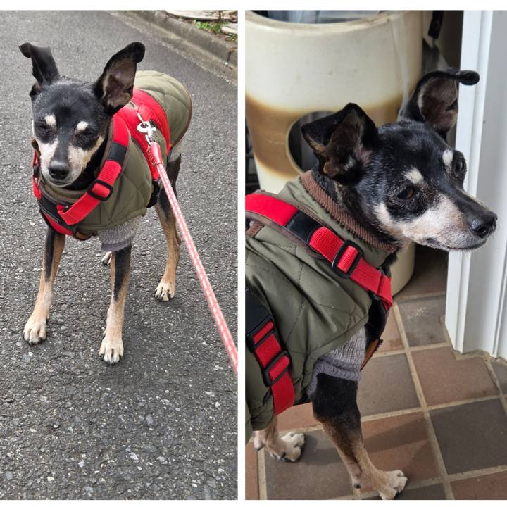 937d9461 f45b 4ace 811c 7e2a319dc0fe 1773362081232